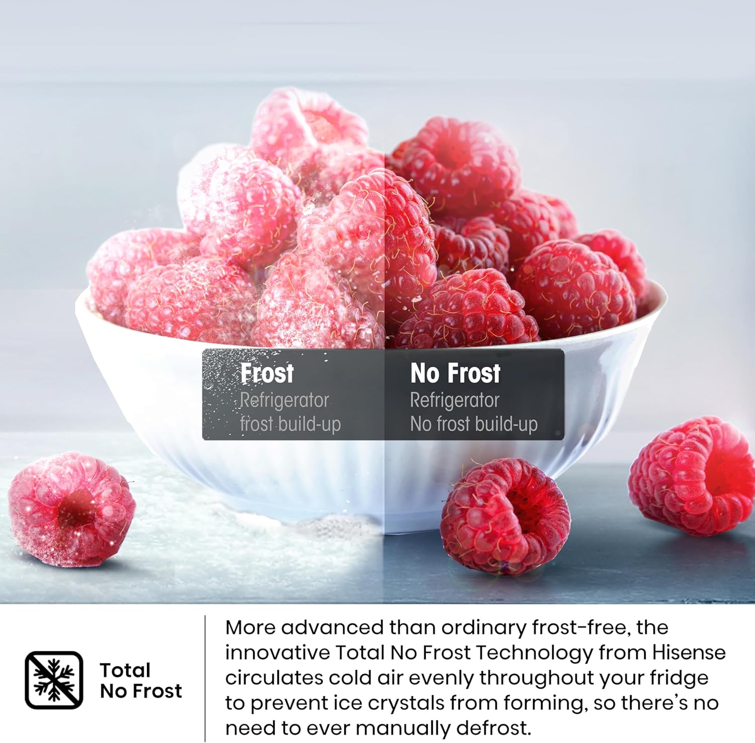 Hisense 599L Refrigerator - Image 7