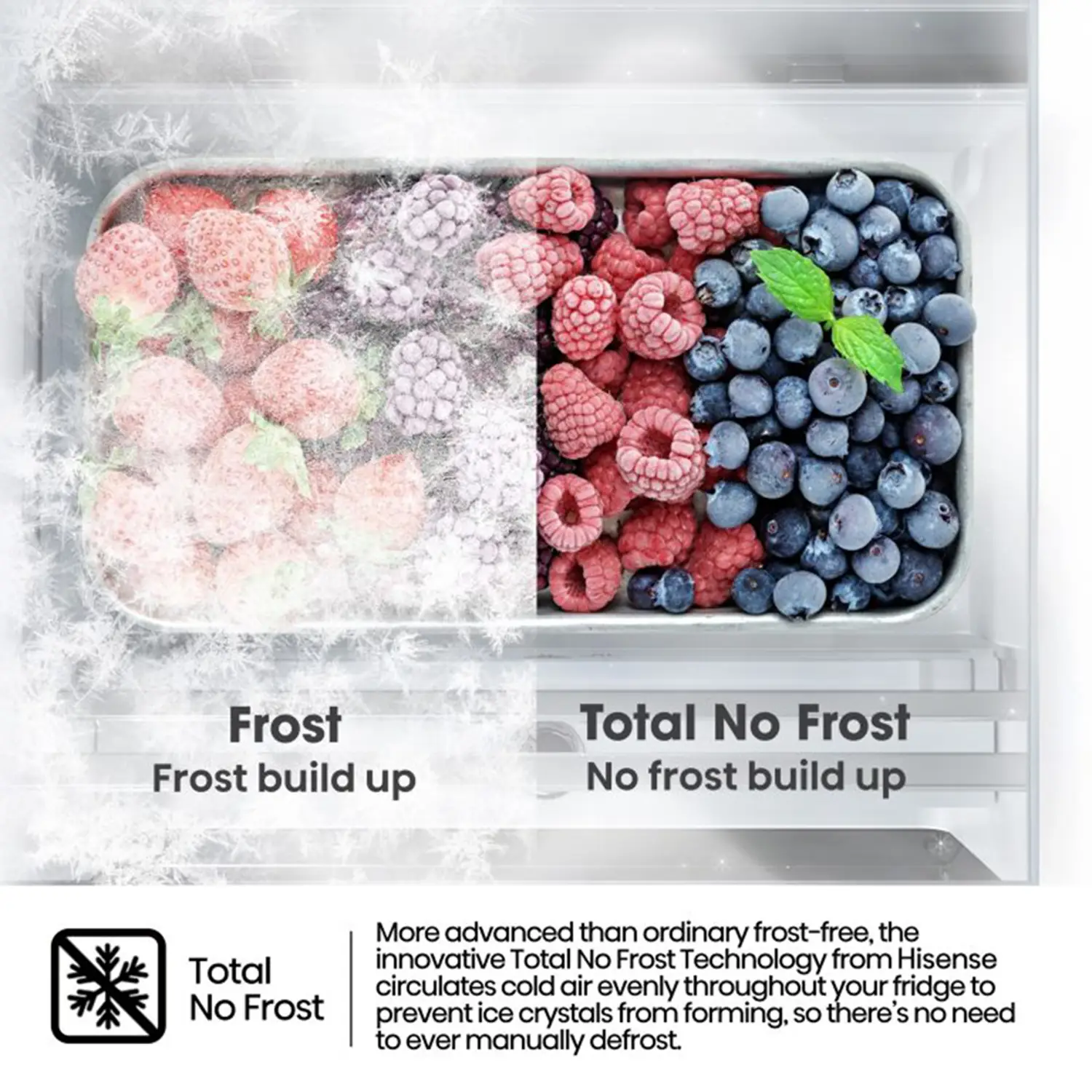 Hisense 484L Refrigerator - Image 5